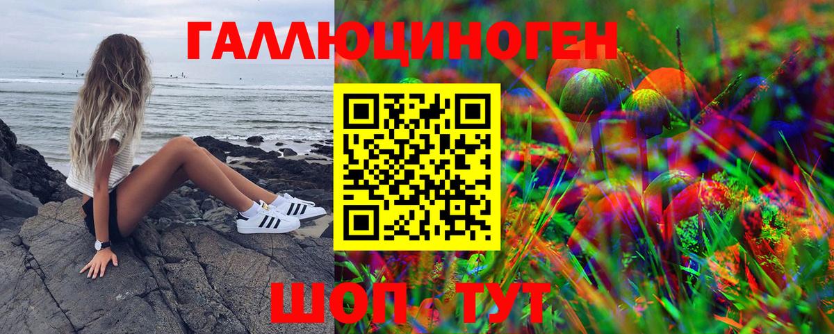 Галлюциногенные грибы Psilocybine cubensis  Вход с VPN  Псилоцибиновые грибы GOLDEN TEACHER  Новотроицк 