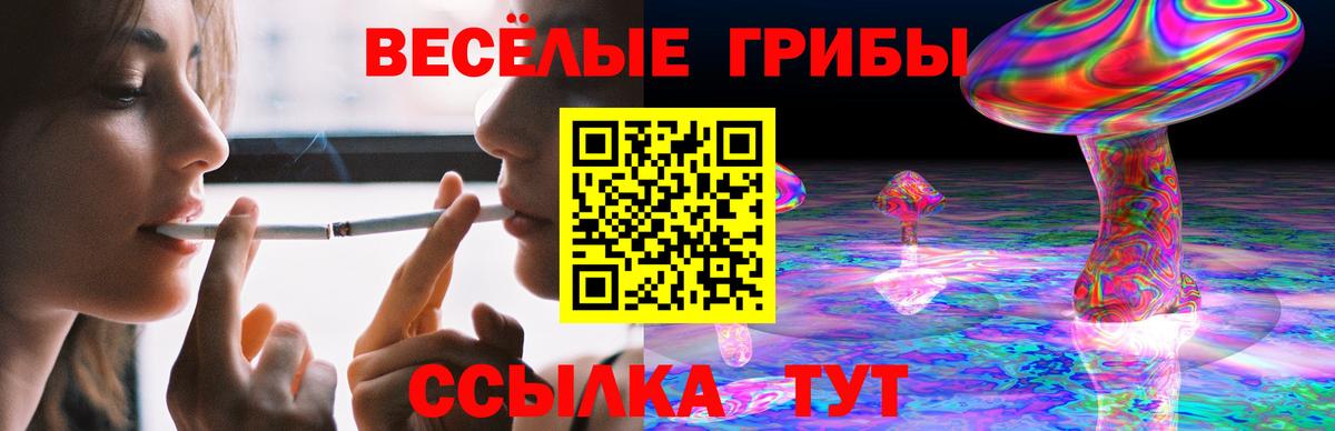 Псилоцибиновые грибы мицелий Новотроицк
